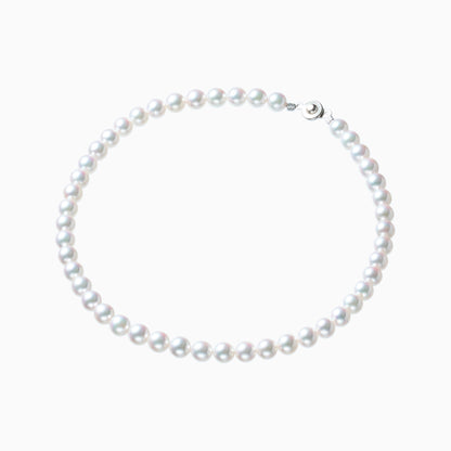 俯瞰正円サムネイル