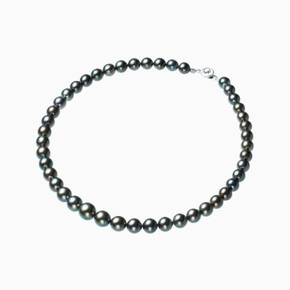 俯瞰正円サムネイル