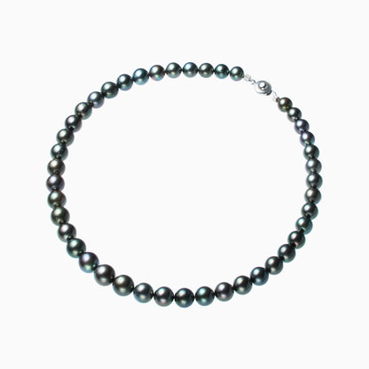 俯瞰正円サムネイル