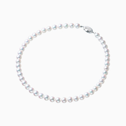 俯瞰正円サムネイル