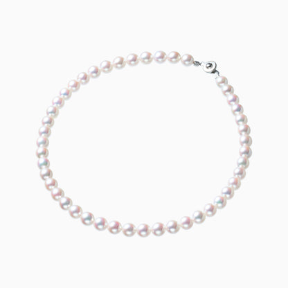 俯瞰正円サムネイル