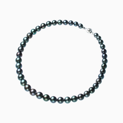 俯瞰正円サムネイル