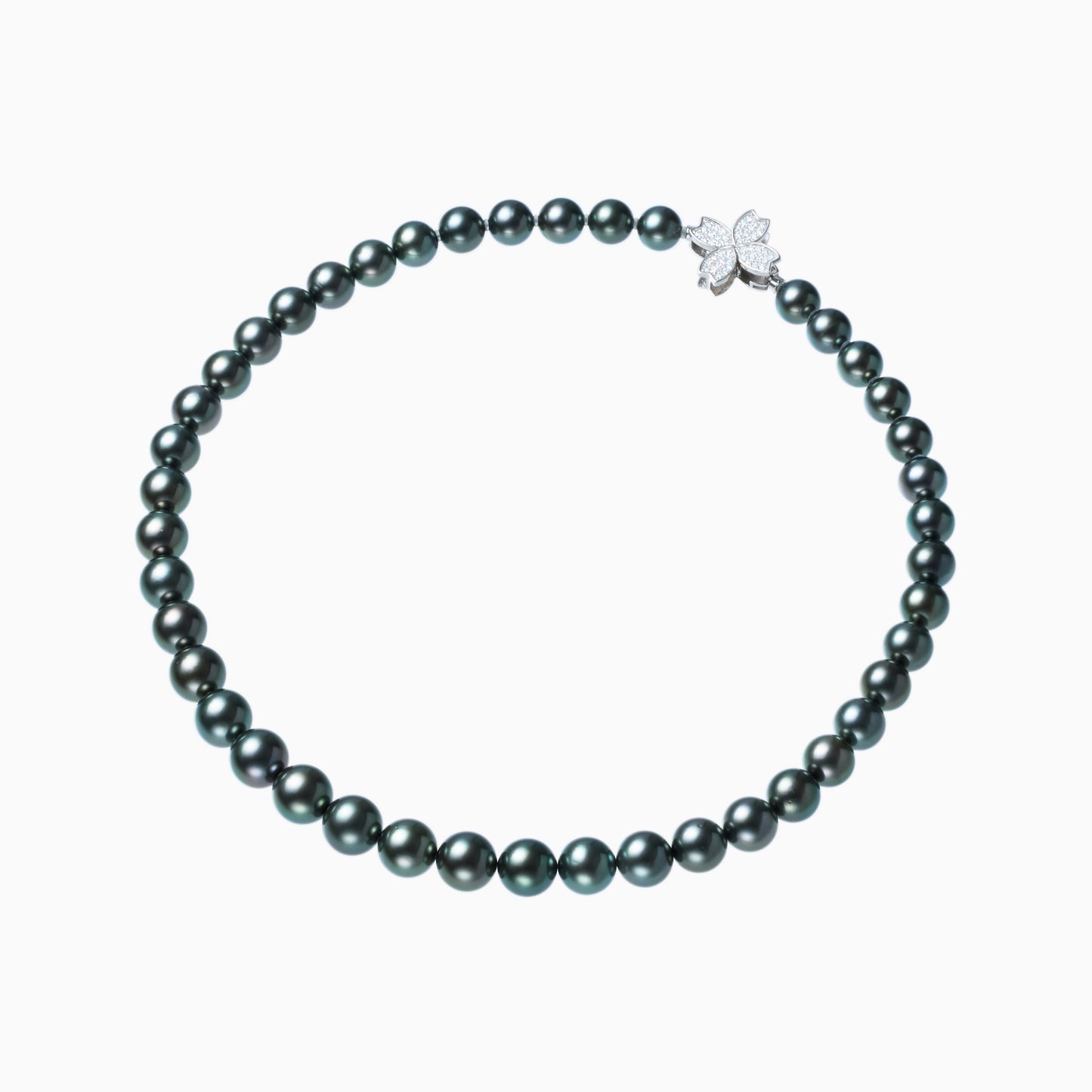 俯瞰正円サムネイル