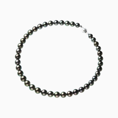 俯瞰正円サムネイル