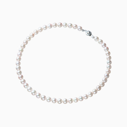 俯瞰正円サムネイル