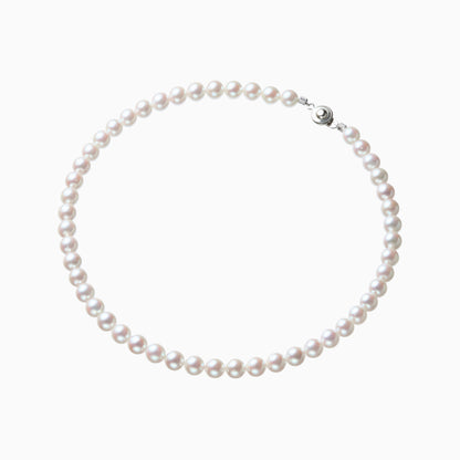 俯瞰正円サムネイル