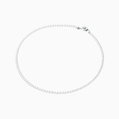 俯瞰正円サムネイル