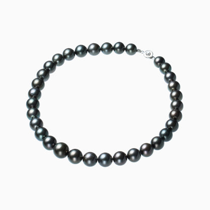 俯瞰正円サムネイル