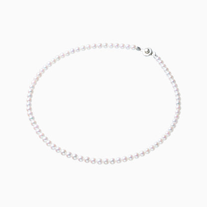 俯瞰正円サムネイル