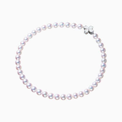 俯瞰正円サムネイル