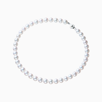 俯瞰正円サムネイル