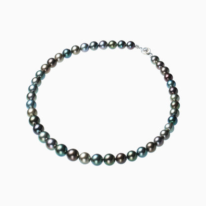 俯瞰正円サムネイル