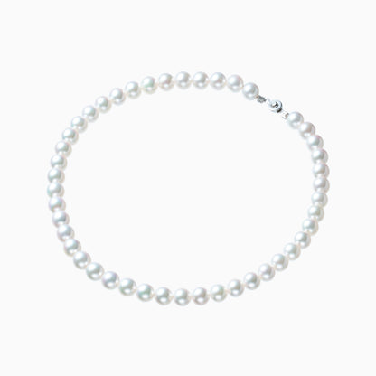 俯瞰正円サムネイル