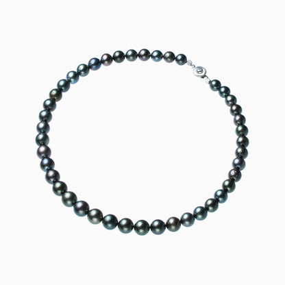 俯瞰正円サムネイル