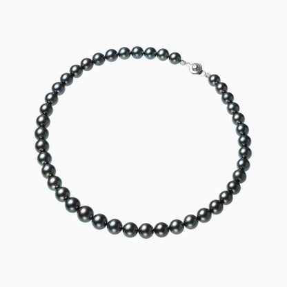 俯瞰正円サムネイル