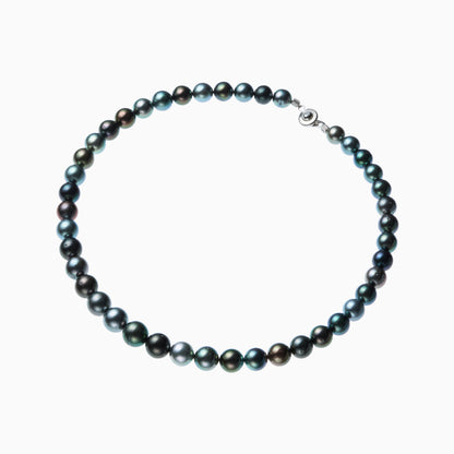 俯瞰正円サムネイル