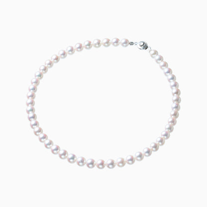 俯瞰正円サムネイル