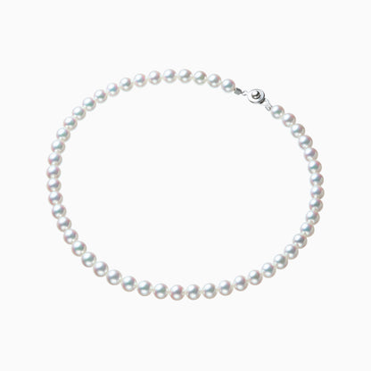 俯瞰正円サムネイル