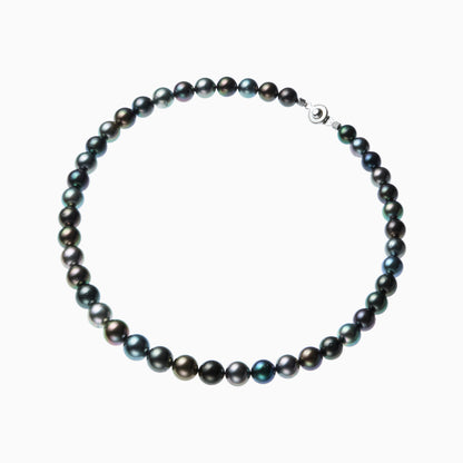 俯瞰正円サムネイル