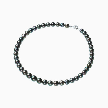 俯瞰正円サムネイル