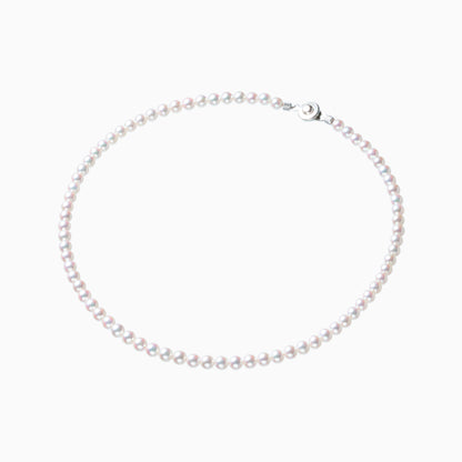 俯瞰正円サムネイル