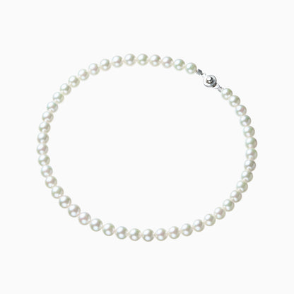 俯瞰正円サムネイル