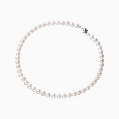 俯瞰正円サムネイル