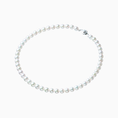 俯瞰正円サムネイル