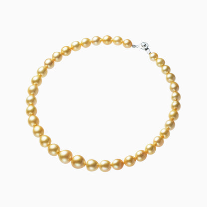 俯瞰正円サムネイル