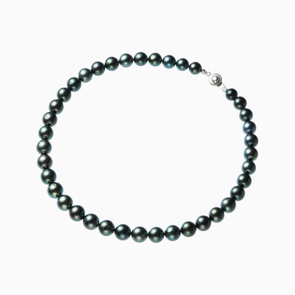 俯瞰正円サムネイル