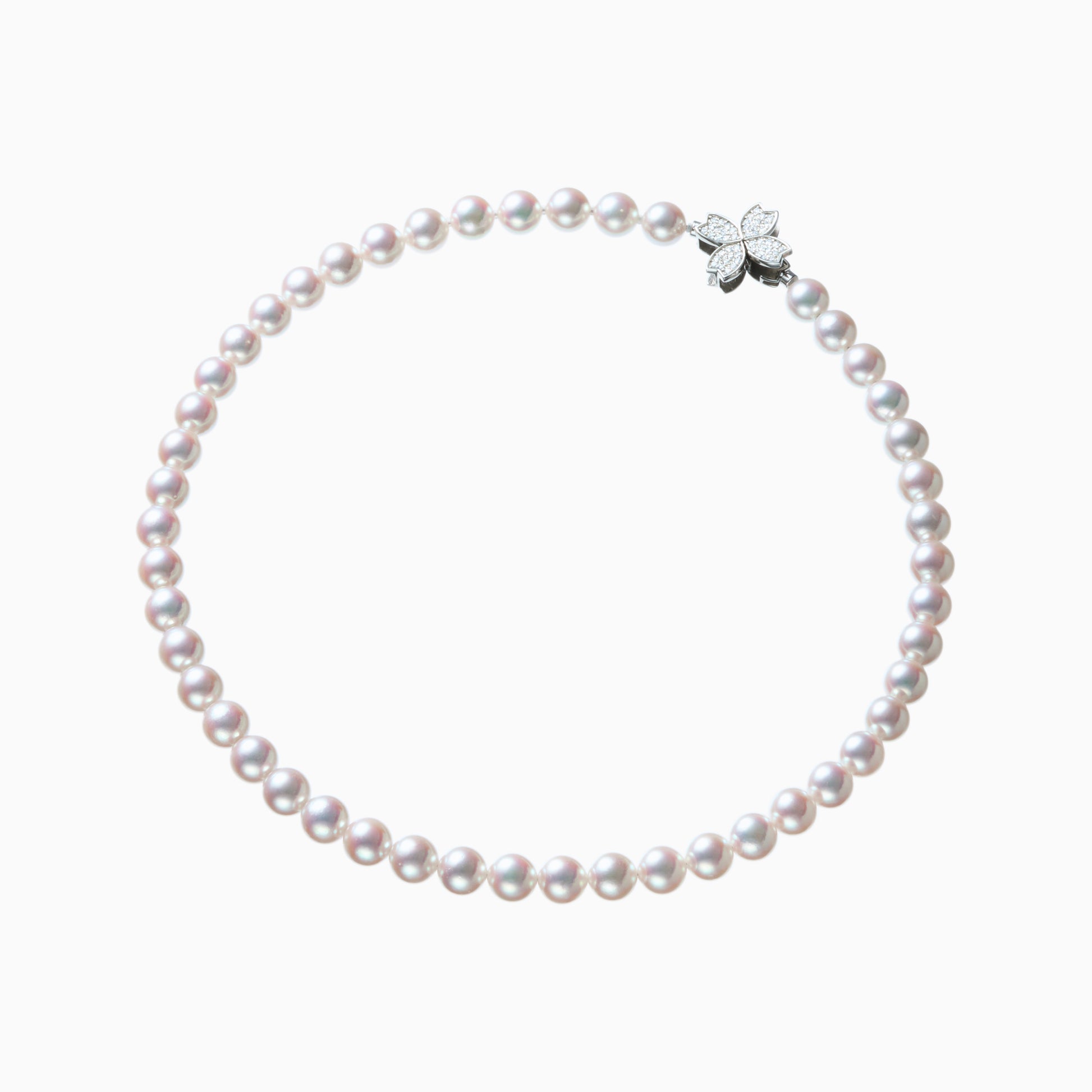 俯瞰正円サムネイル