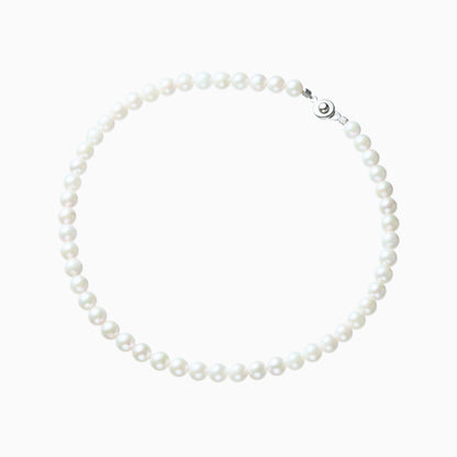 俯瞰正円サムネイル