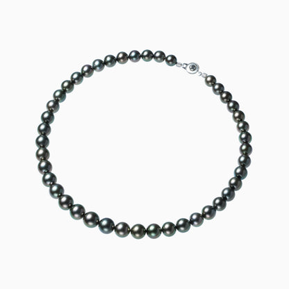 俯瞰正円サムネイル