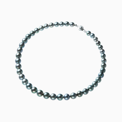 俯瞰正円サムネイル