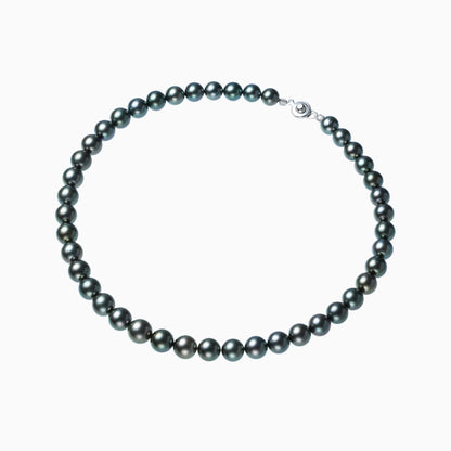 俯瞰正円サムネイル