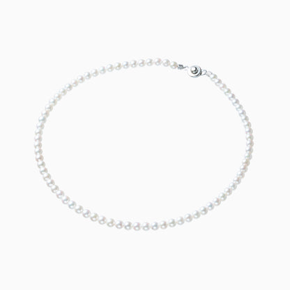 俯瞰正円サムネイル