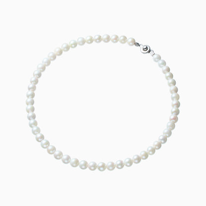 俯瞰正円サムネイル