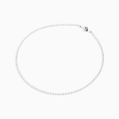 俯瞰正円サムネイル