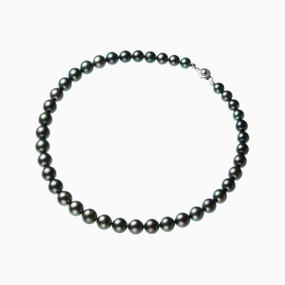 俯瞰正円サムネイル