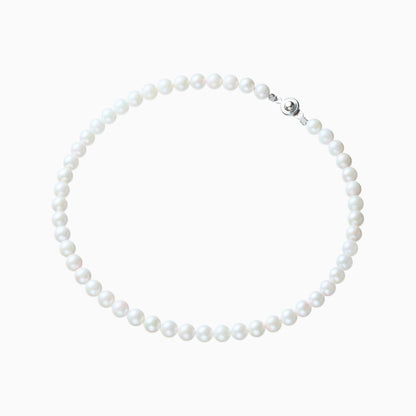 俯瞰正円サムネイル