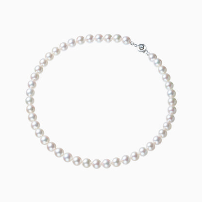 俯瞰正円サムネイル