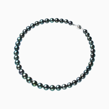 俯瞰正円サムネイル