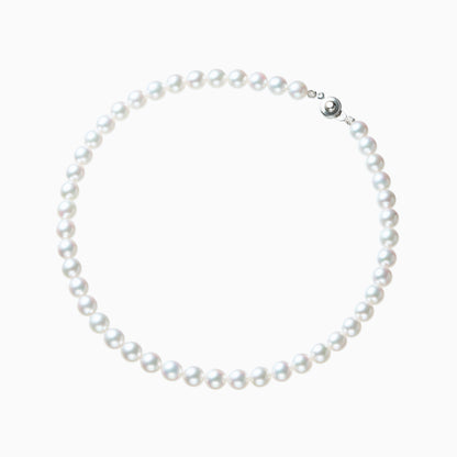 俯瞰正円サムネイル