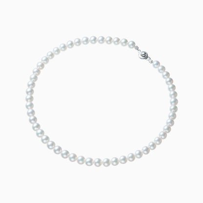 俯瞰正円サムネイル