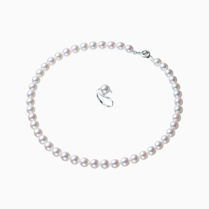 セット俯瞰正円サムネイル