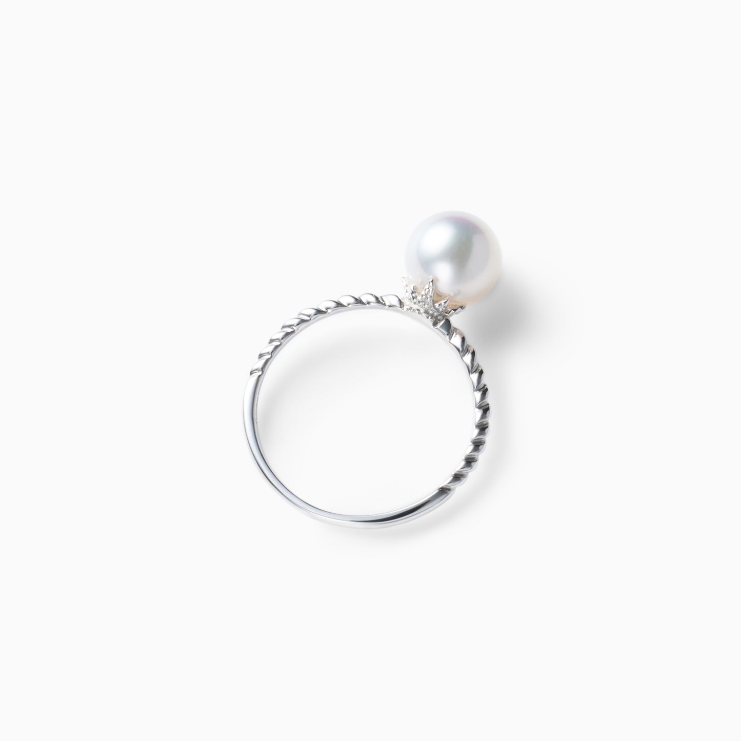 真横右下アングル