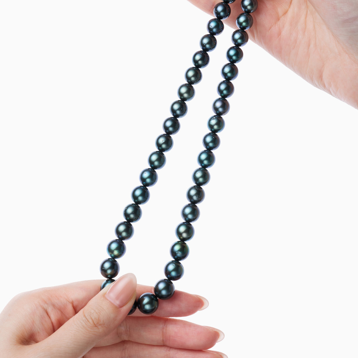 手持ち