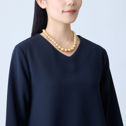 モデル着用引き