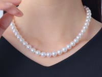 テリ評価90点・程よいボリュームに超高品質なテリ評価と純白感 / 越物アコヤ本真珠ネックレス 8.0-8.5mm